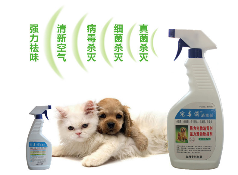 寵毒消 專業(yè)寵物消毒解決方案，守護愛寵健康環(huán)境